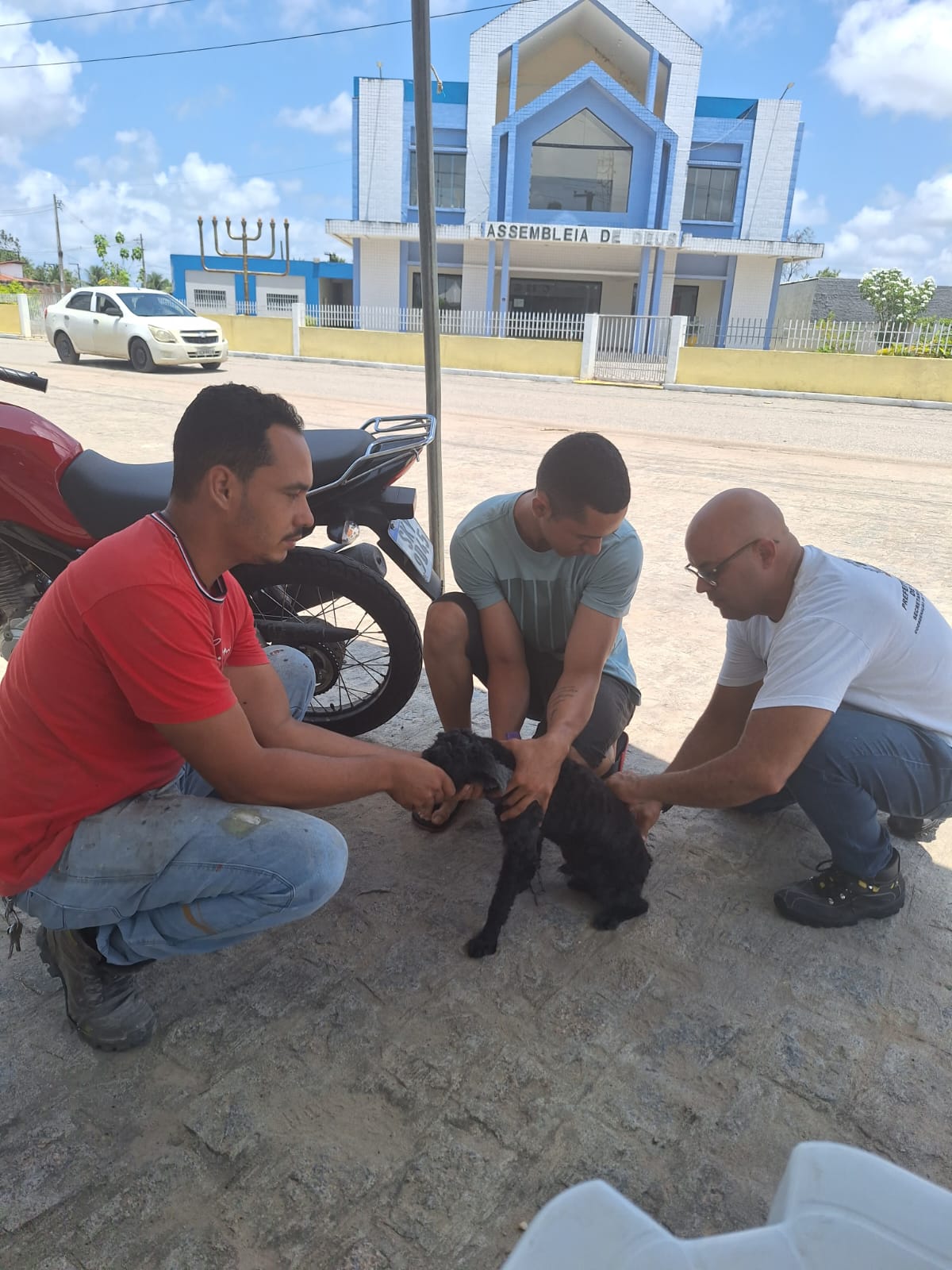 Coordenação de Vigilância Sanitária da início a Campanha de Vacinação animal contra raiva